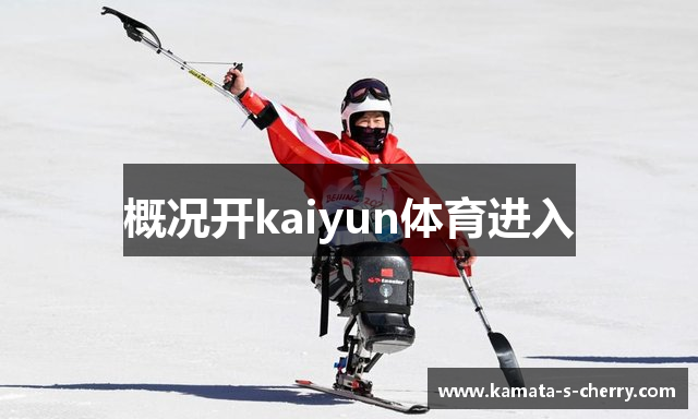 概况开kaiyun体育进入